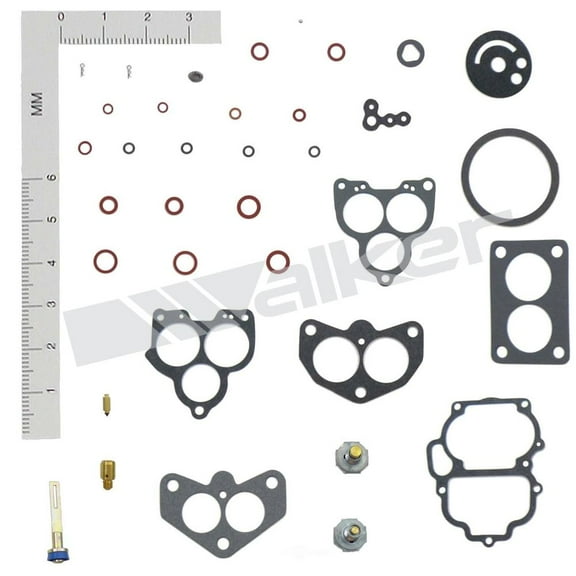 Carburetor Repair Kit