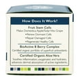 thumbnail image 4 of Andalou Naturals - Argan Stem Cell Recovery Face Cream - 1.7 oz., 4 of 4