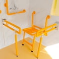 thumbnail image 6 of Chery Industrial 10ft Handicap-Accessible Portable Toilet with Shower, 6 of 13