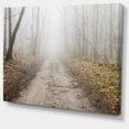 thumbnail image 2 of Route Forestière Droite en Automne, 2 of 3