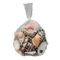 thumbnail image 2 of (2 pack) A Mix Of Seashells In Assorted Sizes, 2 of 3