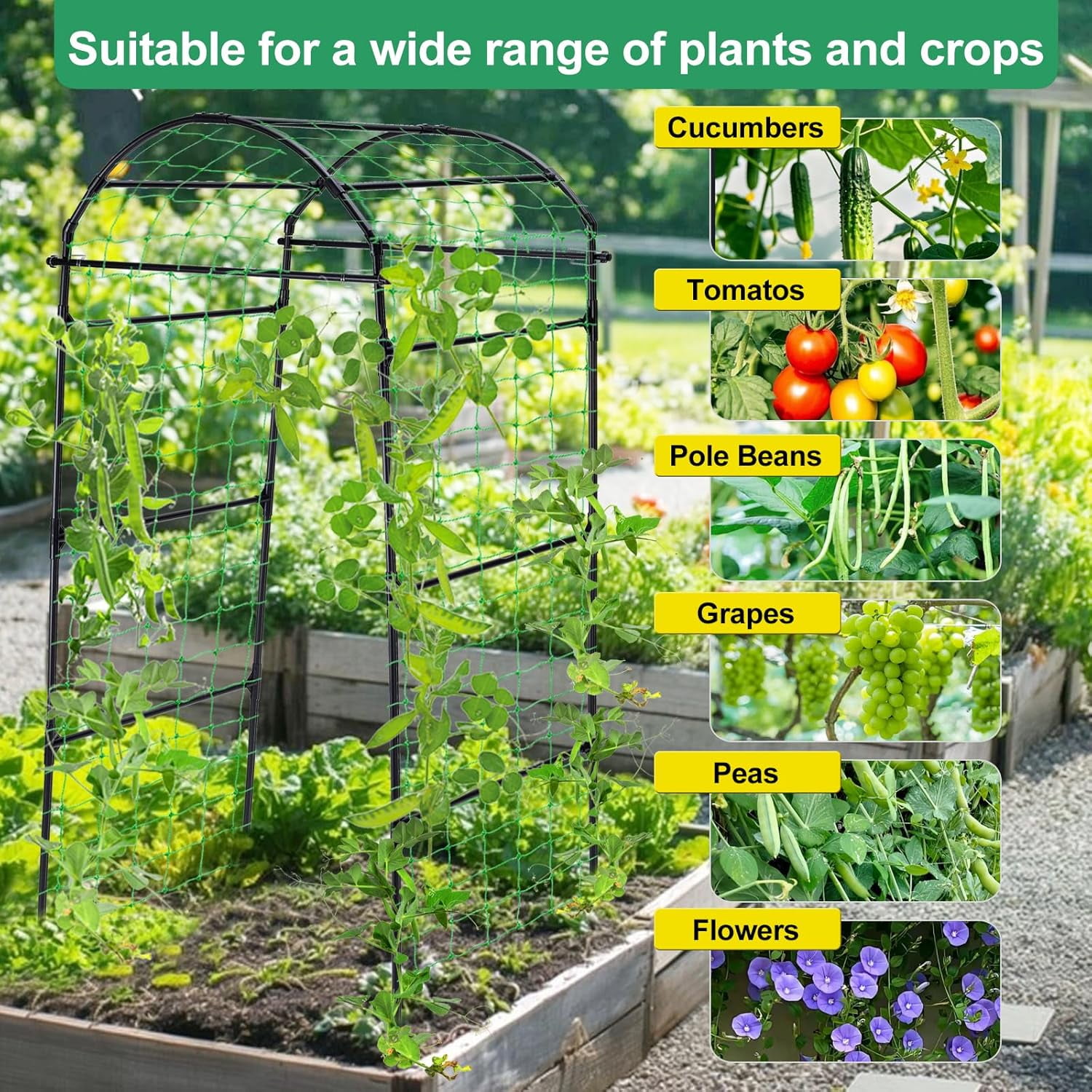 Garden Arch Trellis for Climbing Plants Outdoor, 6.7ft Tall Black Steel Plant Support for Cucumbers Tomatoes Vines