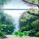 thumbnail image 4 of KAKOWELY 6 plantas artificiales para pecera, de alta simulación, para decoración paisajística., 4 of 4