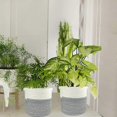 thumbnail image 5 of Cotton Rope Basket, 2020cm Foldable Woven Baskets With Handle Storage Basket, Plant Basket For Flowerpot Cotton Stand Home Decor White+grey, 5 of 5