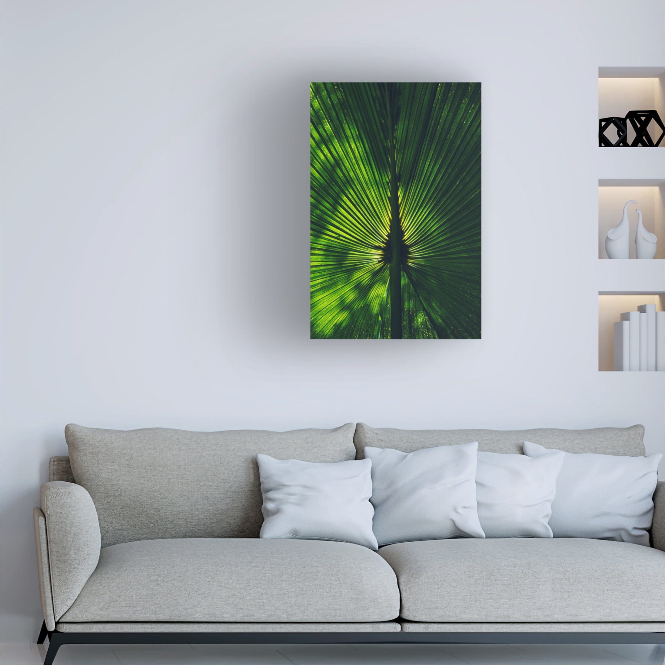 Trademark Fine Art Miguel Alcantara Background Lighted Palm Tree Leaf Canvas Wall Art