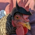 thumbnail image 6 of Decorative Chicken Hat Unique Rooster Poultry Dress Up Farm Animal Accessory for Hens and Roosters, 6 of 6