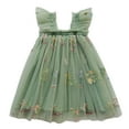 thumbnail image 1 of GPOECD Robes Filles Tout-Petits Manches Volantées Brodé Floral Tulle Tutu Robe de Danse Fête Robe Longue Vert,80, 1 of 4