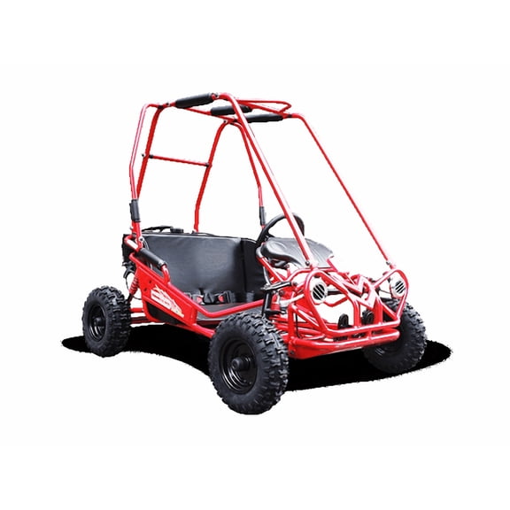 TrailMaster Mini XRS  163cc Kids Go-Kart | 2-Seater | Automatic | Ages 5–11 | Off-Road Go Kart with 5.5HP Engine, Dual Suspension, and Disc Brakes (Red)