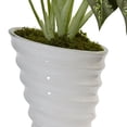thumbnail image 2 of Nearly Natural 6955 Diefenbachia in Swirl Ceramic, 2 of 2