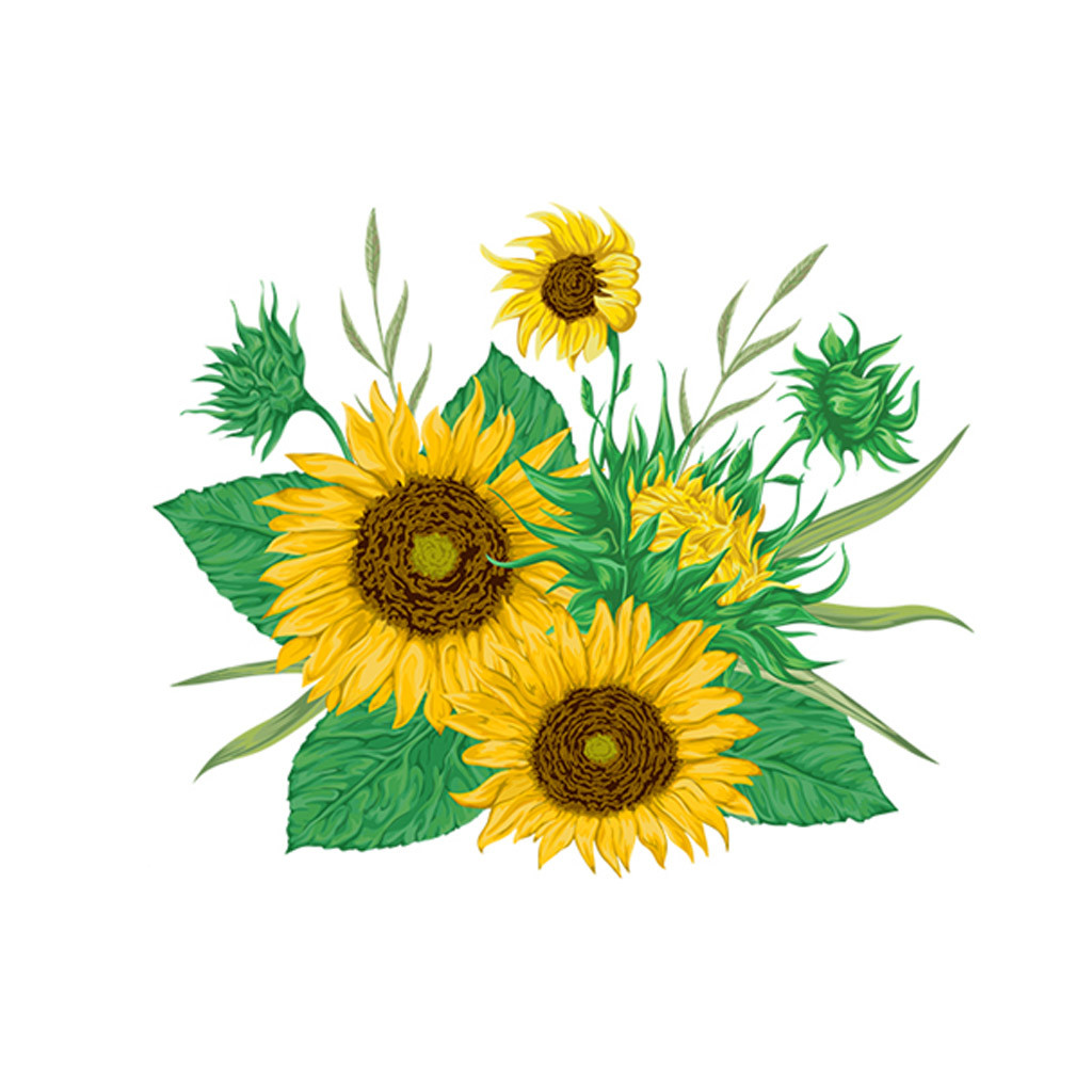 Smart Widgets Wall Stickers Adhesive Wall Decals Wall Decorative Mobile