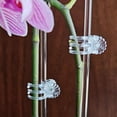 thumbnail image 3 of Clips transparentes para orquídeas, soporte para plantas de jardín con forma de flor, de plástico transparente, para sujetar tallos, enredaderas y plantas trepadoras que crecen erguidas., 3 of 8