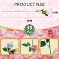 thumbnail image 2 of Rosas artificiales Jefuzh, 30 unidades, flores de seda blanca, 2 of 7