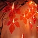 thumbnail image 5 of RKSTN halloween decroations LED Simulation Maple Leaf Lights String Battery Box Indoor And Outdoor Courtyard Restaurant Christmas Halloween Day Decoration, 5 of 8