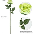 thumbnail image 3 of Morttic 12PCS Artificial Silk Flowers Realistic Roses, Bouquet Long Stem for Home Wedding Party Decoration (Green), 3 of 6