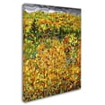 thumbnail image 3 of Trademark Fine Art "Towards Autumn" Canvas Art by Mandy Budan, 3 of 3