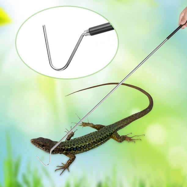 Pinzas para serpientes plegables profesionales pinzas para serpientes de acero inoxidable de 394 pulgadas gancho para reptiles herramienta retráctil para manipular serpientes ANGGREK Otros