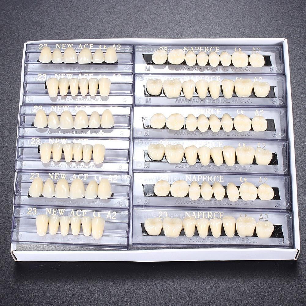 Dental Acrylic Resin Denture Multi-colored Synthetic Teeth False I5W6