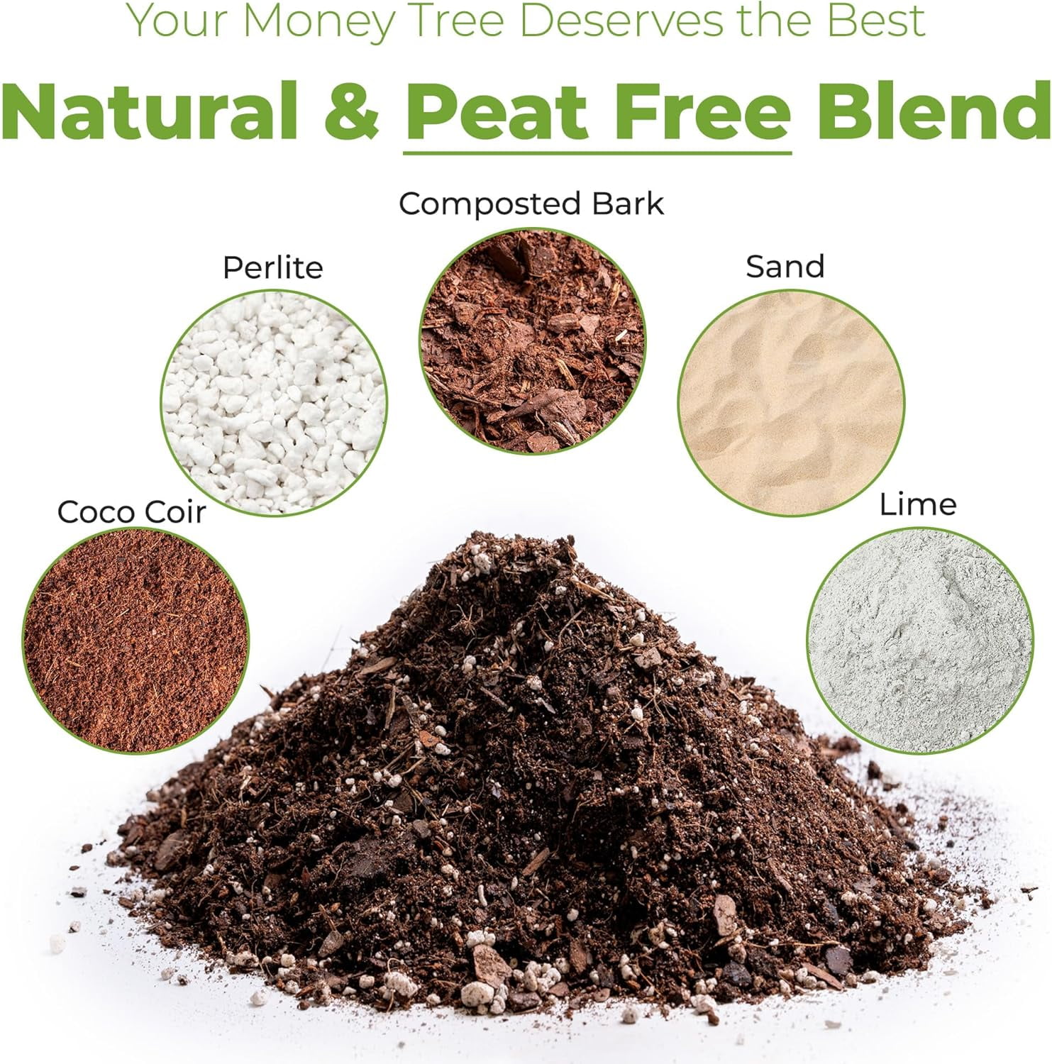 Money Tree Potting Soil 4qt | Organic Coco Coir Based Plant Mix for Indoor Trees | Quickly Grow Your Indoor Forest