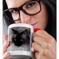 thumbnail image 2 of 3dRose, Siamese Cat, 15oz Two-Tone Red Mug, 2 of 7