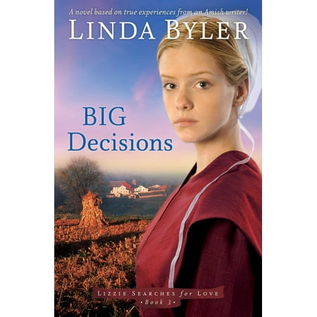 Big Decisions : A Novel Based On True Experiences From An Amish