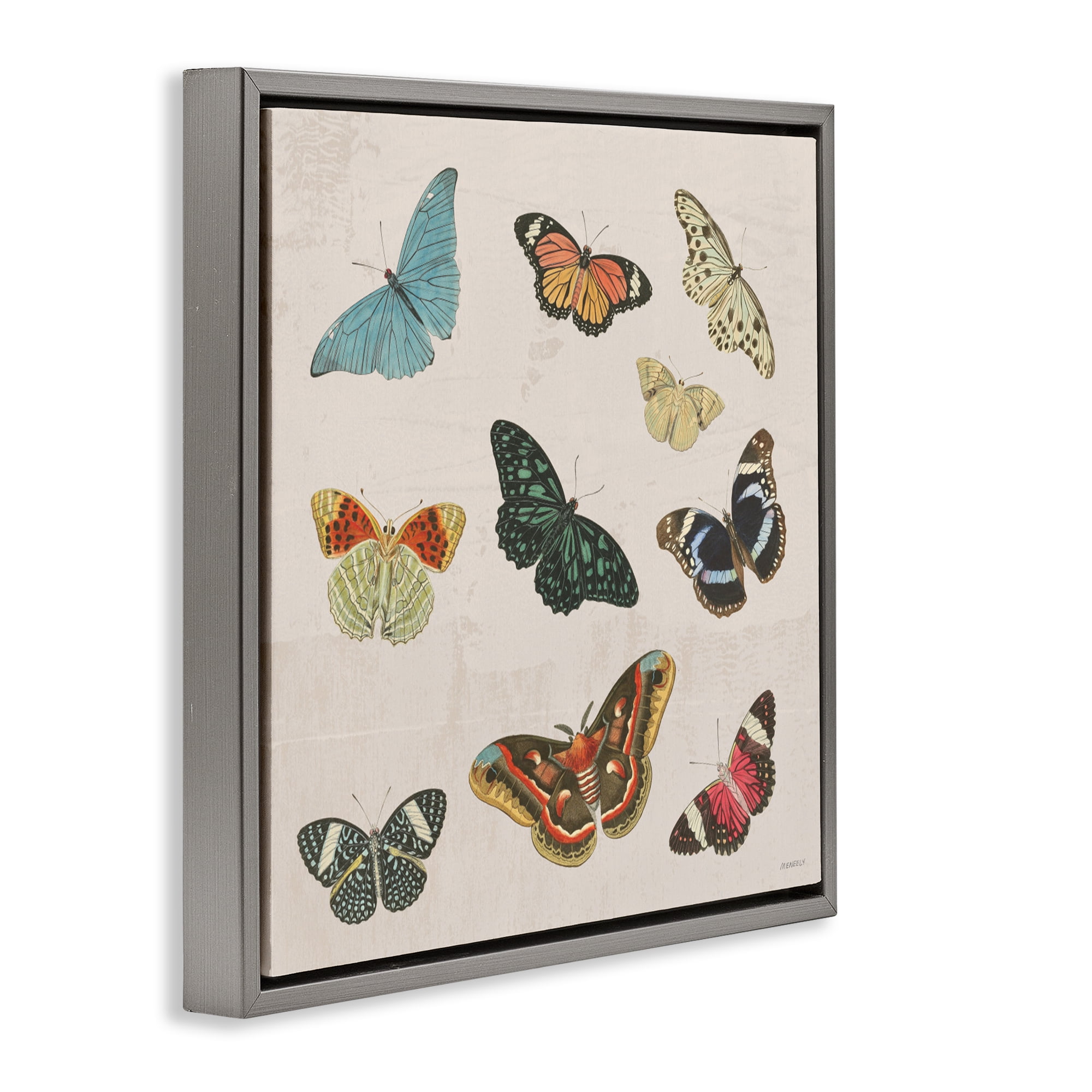 Stupell Industries Vintage Butterfly Flight Gray Framed Floater Canvas Wall Art, design by Dan Meneely