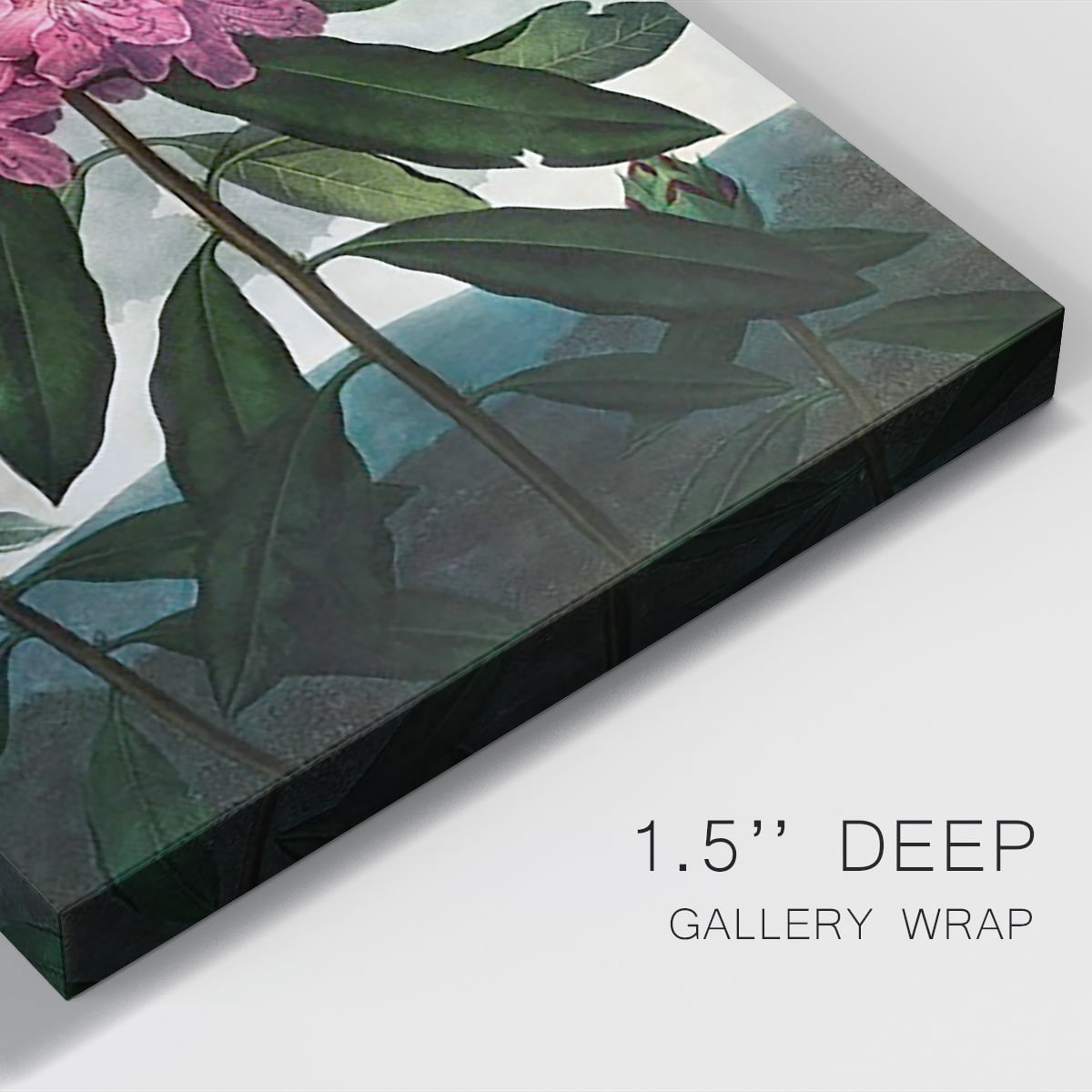 Temple of Flora X Premium Gallery Wrapped Canvas - Ready to Hang
