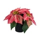 thumbnail image 1 of Planta de Pascua artificial navideña, plantas artificiales en maceta, adorno de escritorio Estilo C, 1 of 9