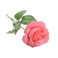 thumbnail image 2 of Naiovety 20 piezas de rosas falsas, simulación de Color sólido portátil, fiesta de boda en el hogar, rama de flores artificiales, accesorio Decoración Rosa, 2 of 6