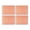 Apricot, variant on Saleen Rectangular Placemat (Old Rose, Set of 4)
