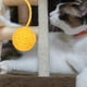 thumbnail image 3 of Juguetes interactivos para gatos, cuerda de sisal, pelotas con cascabeles, repuesto para rascador, accesorios para rascar y jugar en interiores, 3 of 7