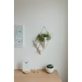 Umbra Trigg Ceramic Hanging Planter Wall Décor Large White/Brass - image 19 of 21