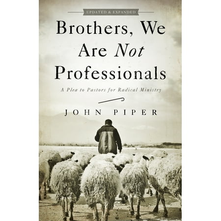Brothers, We Are Not Professionals : A Plea to Pastors for Radical Ministry, Updated and Expanded
