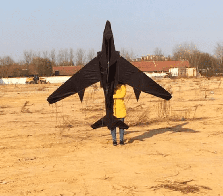 2.8M Kites Professional Giant Kites for Adults fighter bomber  Kite