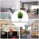 thumbnail image 1 of 3 Pack Fake Plants in Pots Artificial Eucalyptus Plant Mini Potted Faux Plants Indoor Small Plastic, 1 of 5