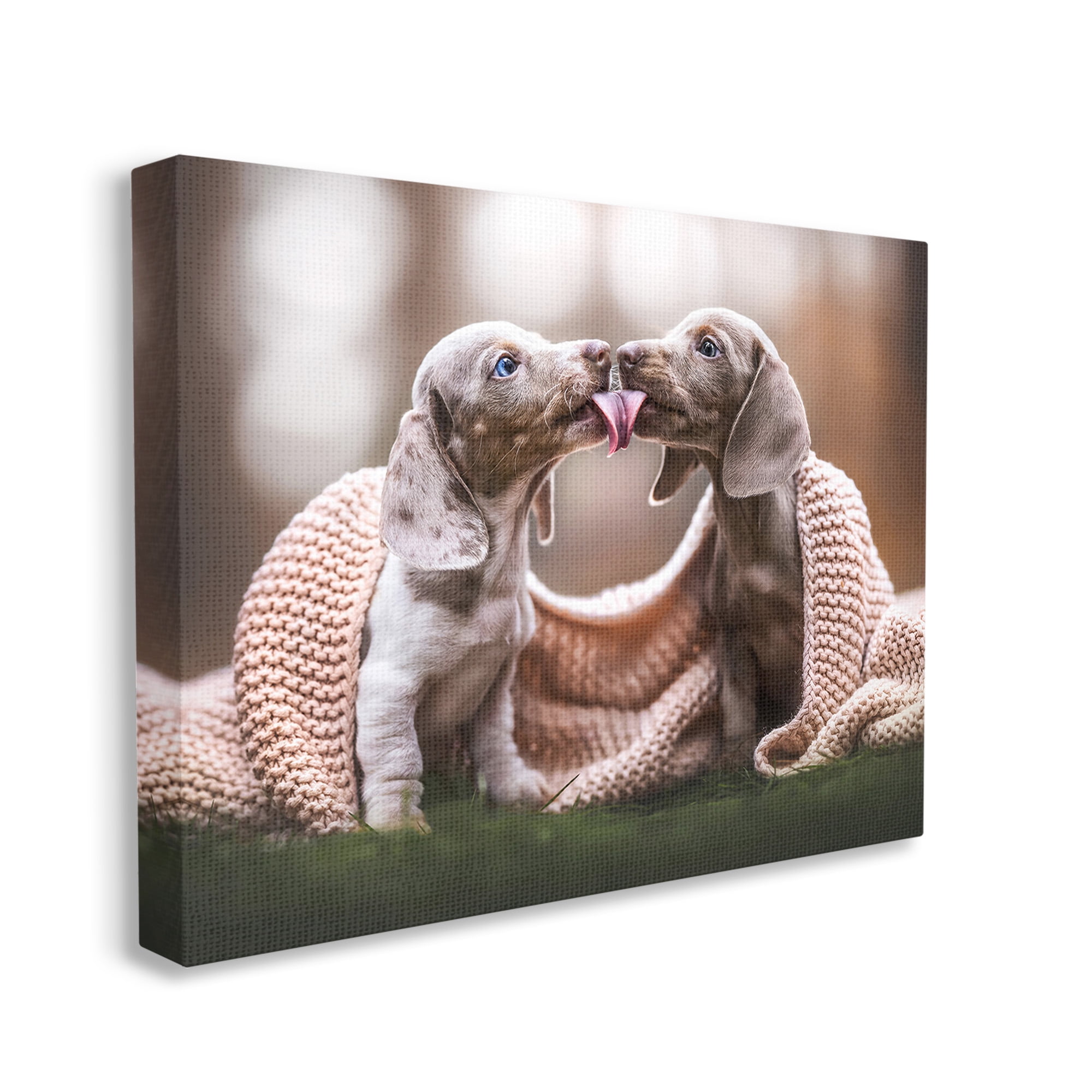 Stupell Industries Puppies with Blanket Animals & Insects Painting Gallery Wrapped Canvas Art Print Wall Art, 20 x 16