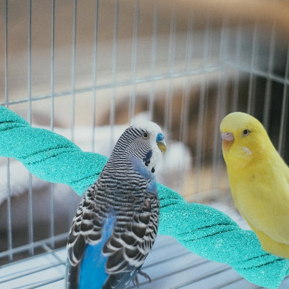 LOLIPPYY Natural Wood Bird Perch Sky Blue Parrot Stand Stick for Cage with Easy Installation