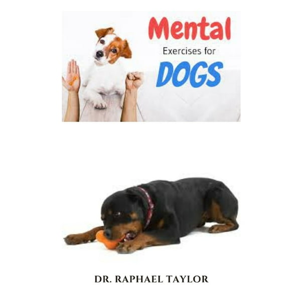 Mental Exercises for Dogs Complete Guide to Stimulate Your Dog's