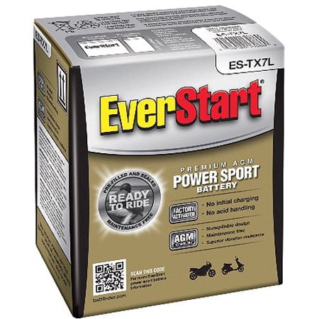 1000 cranking amp battery walmart