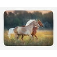 thumbnail image 1 of Farm Animal Bath Mat, Picturesque Palomino and Chestnut Horse Run Fast at Meadow with Wild Flowers, Plush Bathroom Decor Mat with Non Slip Backing, 29.5" X 17.5", Multicolor, by Ambesonne, 1 of 2