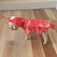 thumbnail image 5 of WGXU Dog Teddy Pug Clothes Red Role Play Pet Clothes, 5 of 5