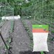 thumbnail image 1 of Red de enrejado de 1,6 * 5 m, diseño de red de enrejado de poliéster resistente para escalar frutas y verduras, cultivos hidropónicos, Garden Twist Tie Inc ACTIVE Biensenido a ACTIVE, 1 of 5