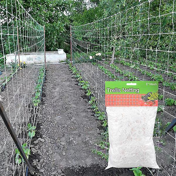 Red de enrejado de 1,6 * 5 m, diseño de red de enrejado de poliéster resistente para escalar frutas y verduras, cultivos hidropónicos, Garden Twist Tie Inc ACTIVE Biensenido a ACTIVE