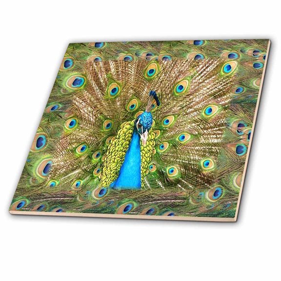 3dRose, Peacock Head n Peacock Feathers, 12 Inch Ceramic Tile