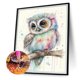 thumbnail image 2 of Cuadros Decorativos 5D bricolaje taladro redondo completo diamante pintura búho Kit arte decoración del hogar (E2309) DQrwqpou Nuevos Originales, 2 of 9