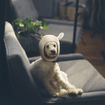 thumbnail image 4 of Orejeras para mascotas, protección auditiva para perros en invierno, envoltura cálida para la cabeza, protección para mascotas del ruido y la ansiedad., 4 of 5