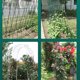 thumbnail image 3 of Yuarrent 40 piezas conectores de enrejado de jardín tomate pepino marco de escalada jaula conector reutilizable herramienta de fijación Jardín y Patio 20 mm, 3 of 6