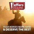 thumbnail image 2 of Jeffers Equine Cotton Horse Lead Rope – 10ft Long, 3/4" Diameter – Heavy Duty Training Lead, Trailer Tie, Livestock Leadline for Horses, Ponies, Cattle, Goats, Sheep – Brass Snap, Black, 2 of 3