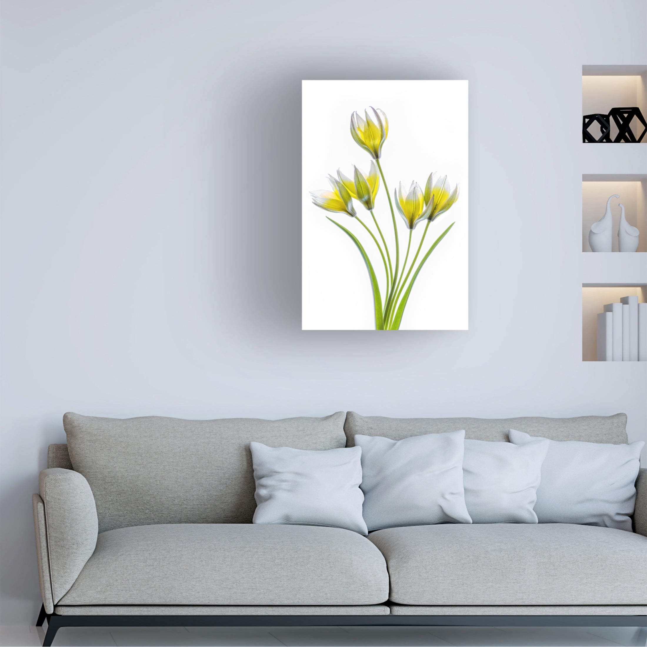 Canvas Wall Art - Mandy Disher 'Tulipa' Wall Art for Living Room, Bedroom, or Office Décor by Trademark Fine Art - 12 x 19 Inches