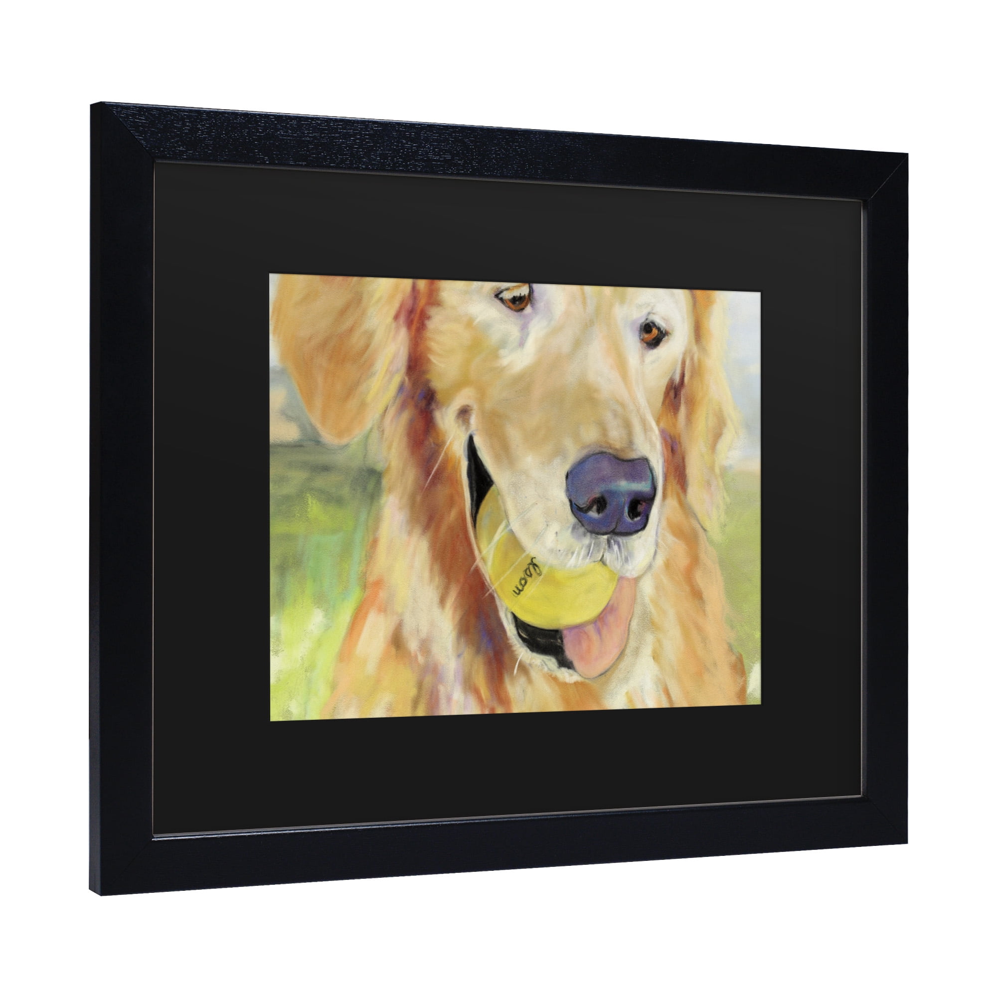 Trademark Fine Art 'Gus' Canvas Art by Pat Saunders-White