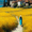 Tiger, variant on Provencal Blooming Village Walking Woman Canvas Print, Impressionist Countryside Home Bedroom Wall Decor Art